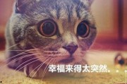 猫猫永不为奴娱乐吃瓜酱,揭秘娱乐圈幕后趣闻
